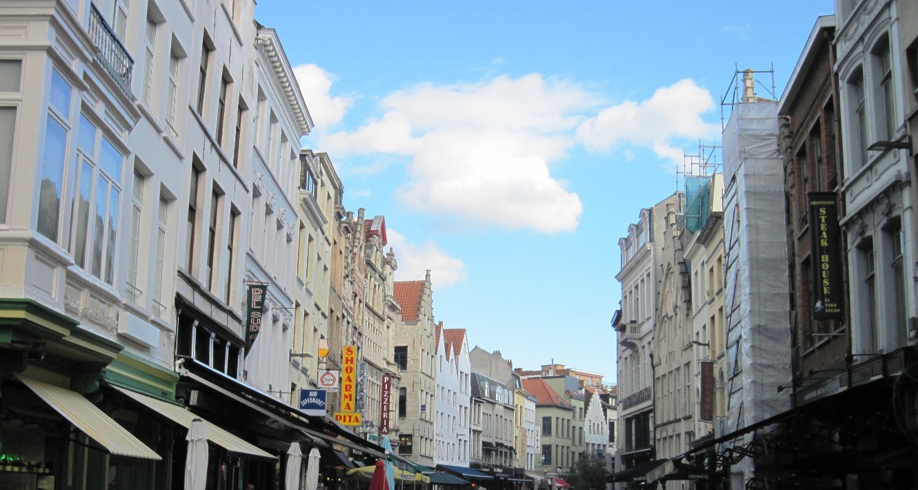 9-Anversa- Altra strada  nei pressi della cattedrale piena di negozie, pizzerie(anche italiane), ristoranti